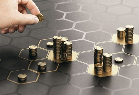 Diverse Asset Management